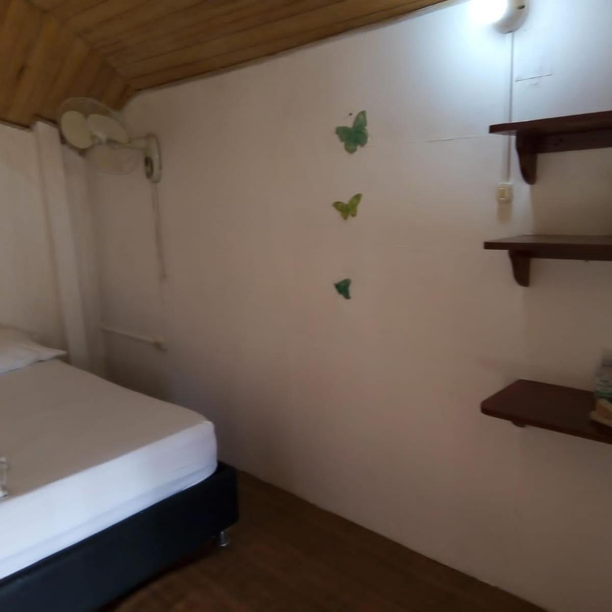 Hostal Paloma Cafe Palomino Ngoại thất bức ảnh